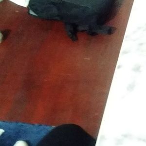 Meet your Posher, Larry